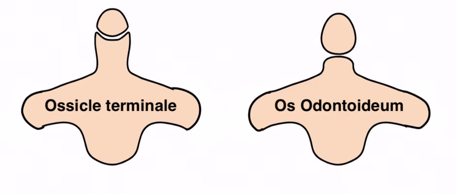 os