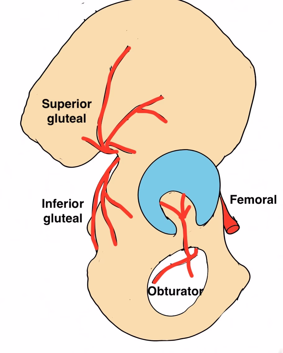 vascular injury