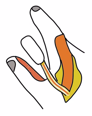 Kite 2