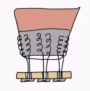 Pec button