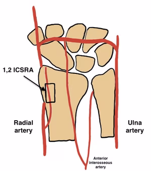 12 CSRA