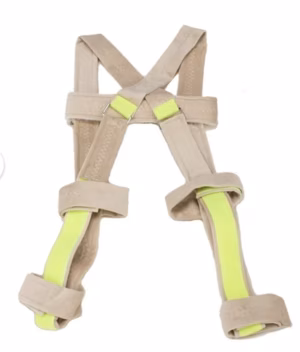 Pavlik harness