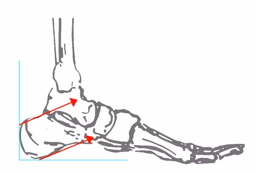 Pavlov's Lines